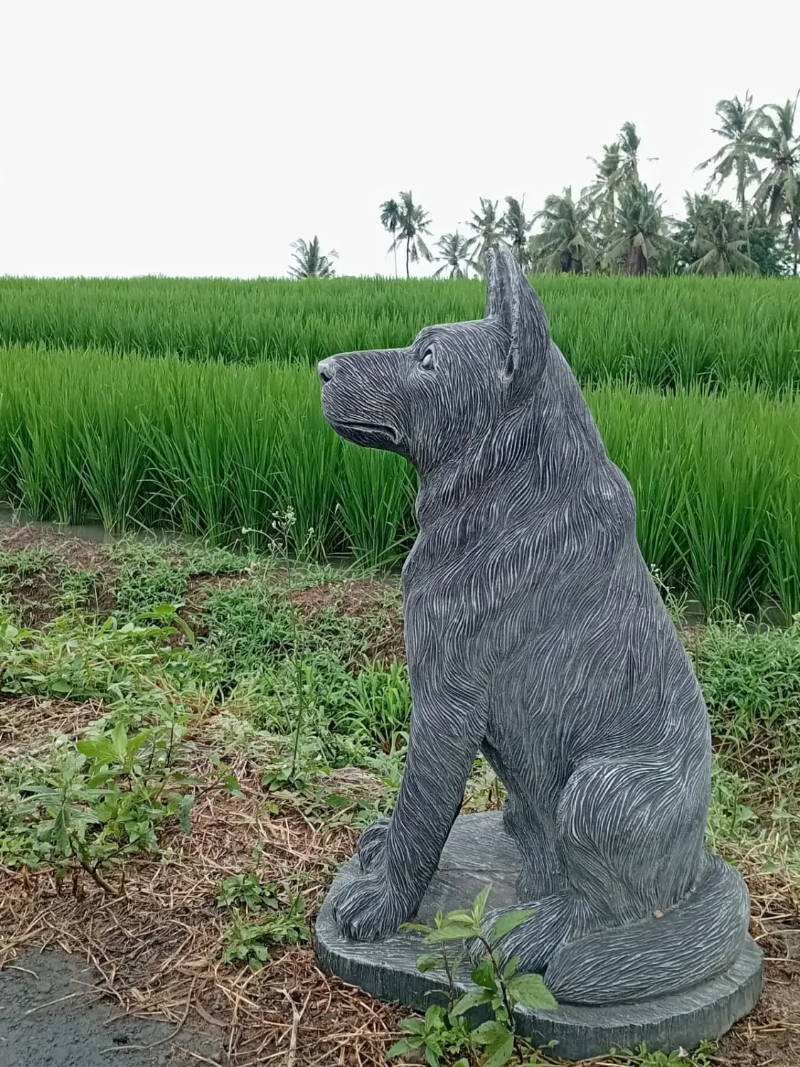  Product image 2 of the product “Seated shepard dog, 65cm Height - cast stone. ”